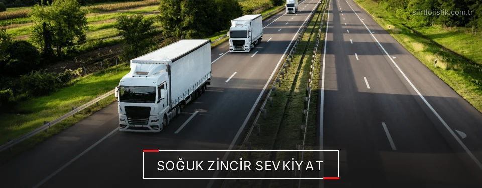 Siirt Frigo Taşımacılık Firmaları Siirt Frigo Taşımacılık Firmaları